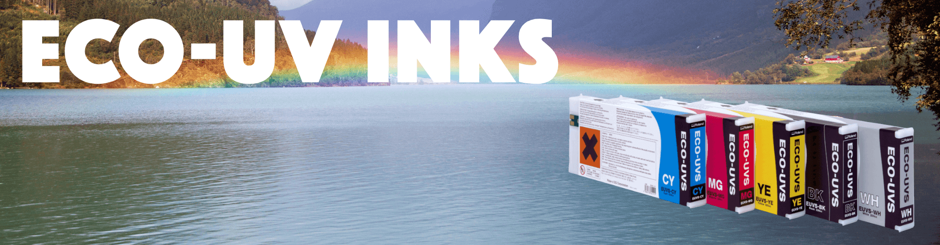 ORIGINAL ROLAND INKS FOR LEF PRINTER